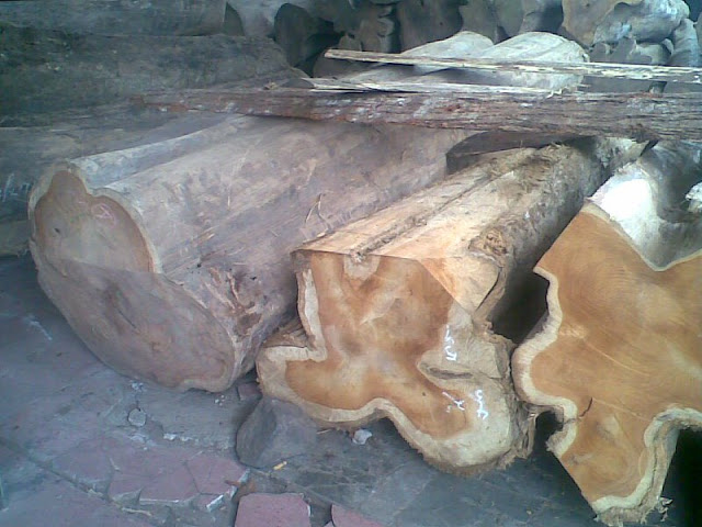 Kayu Solid, Potongan Kayu Jati,Singa Jati Furniture