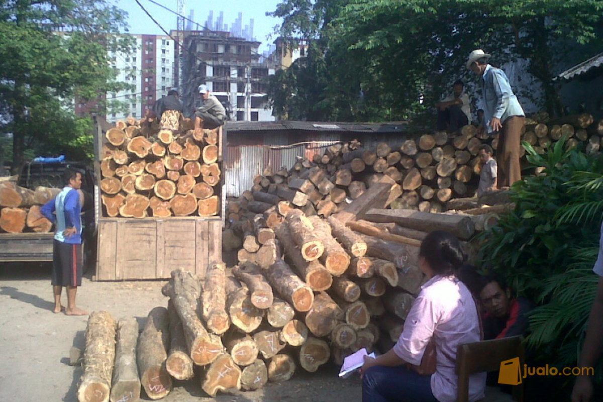 Kayu Jati Rakyat, Jenis Kayu Jati Rakyat