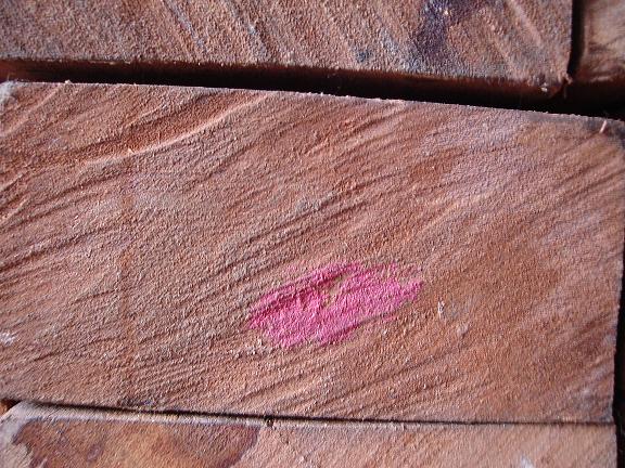 Kayu Kamper, Kayu Solid, Singa Jati Furniture